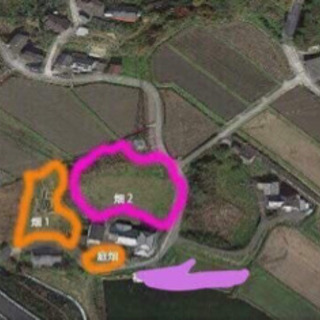 薬学博士矢野忠則先生と学ぶ薬草講座の画像