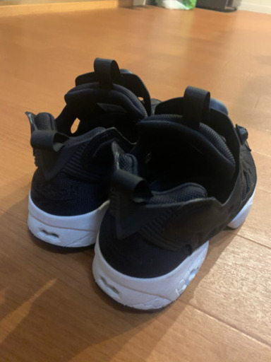 ポンプフューリー