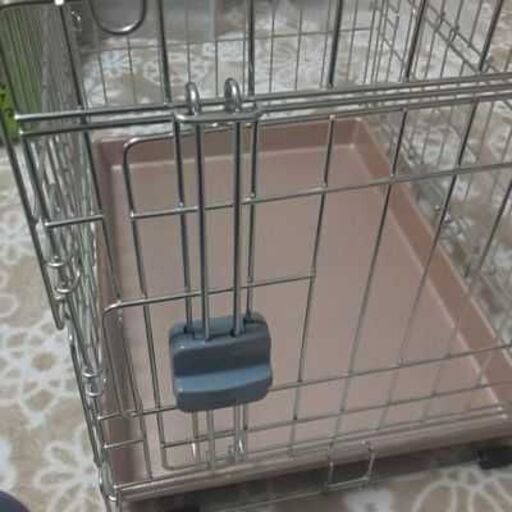 小動物移動ゲージ