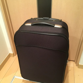 キャリーバック