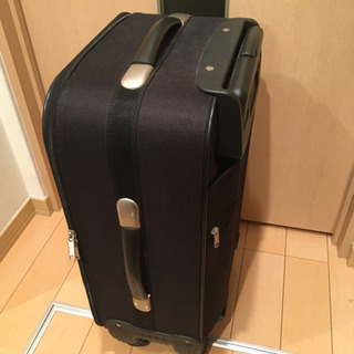 キャリーバックの画像