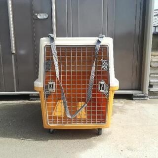 商談中　中型犬用　ペットキャリーの画像