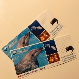 新江ノ島水族館  入場券