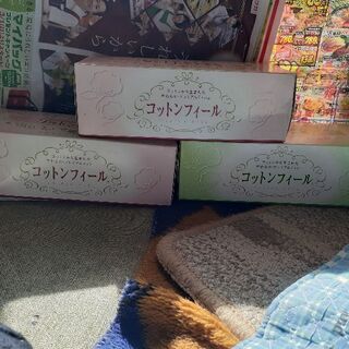 最後の値下げ中コットンフィール3箱セット