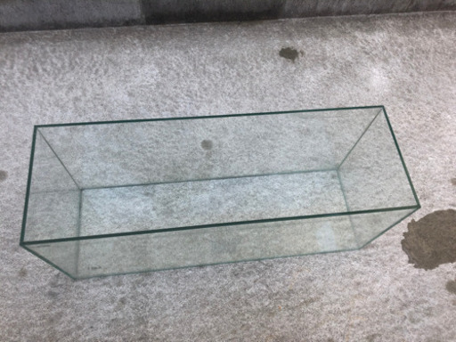60cm水槽