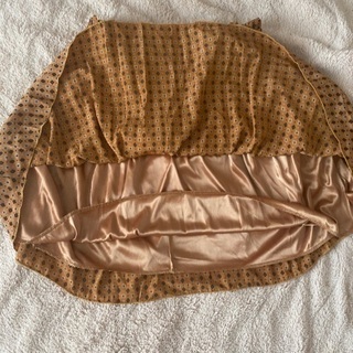 スカートの画像