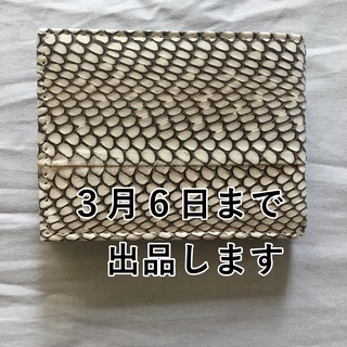 蛇革(パイソン) 二つ折財布　現地直買い、新品　3/6まで