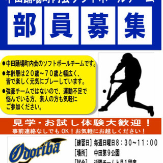 ソフトボールメンバー募集【横浜市泉区／中田踊場】