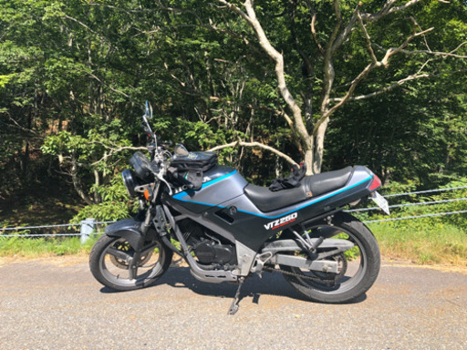 交渉中　VTZ 250 試乗可能(26歳以上)
