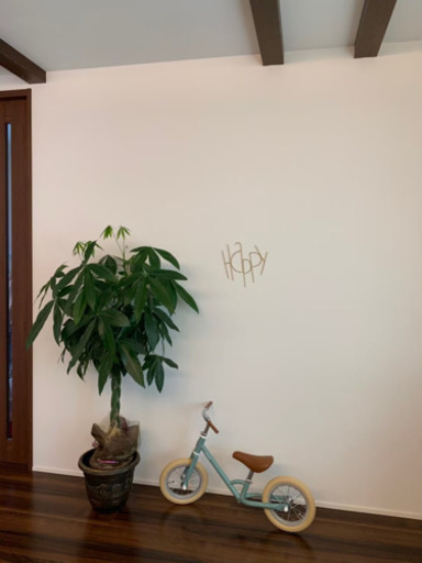 tokyo bike 東京バイク