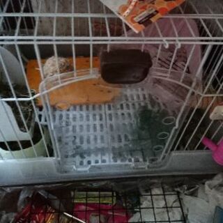 うさぎ飼育ケージ