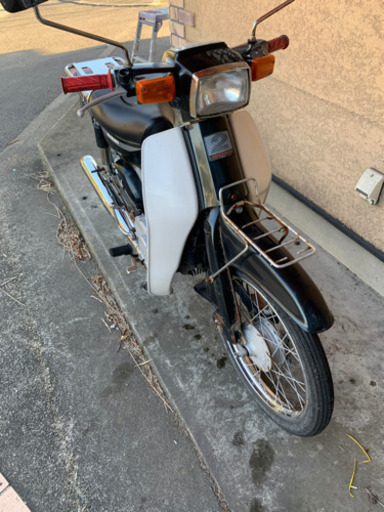 バーディ50