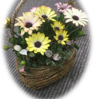 誰でもできる！簡単綺麗な寄せ植え 『あおき式ギャザリング教室』開催！の画像