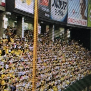 4/1東京ドーム阪神応援にいきませんか？
