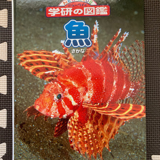 学研の図鑑　魚　