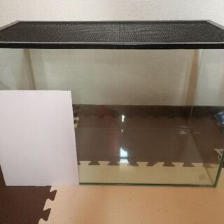 60cm水槽 現在交渉中です。の画像