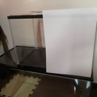 水槽40cm 現在交渉中です。の画像