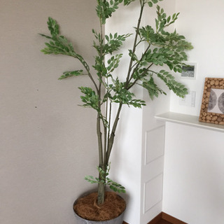 インテリア 人工観葉植物 