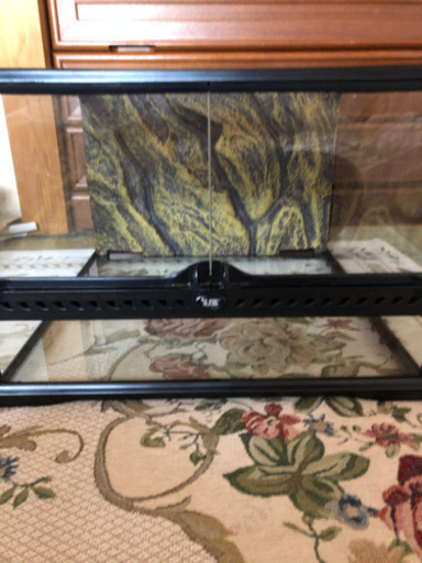 GEX エキゾテラ　グラステラリウム 4530