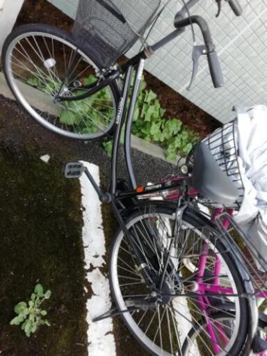自転車　黒