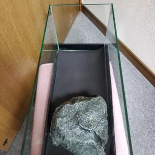 水槽の画像