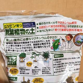 植木鉢と土の画像