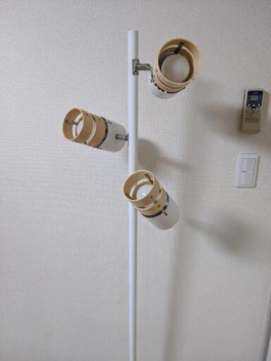 ライト