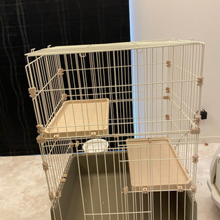 キャットゲージの画像