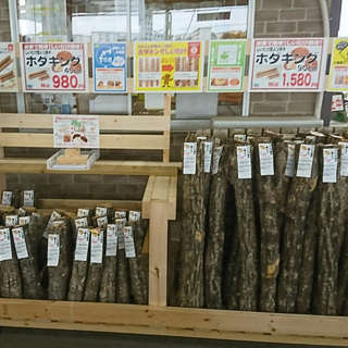 使用済みの【しいたけ栽培原木】ください 廃ホダ木