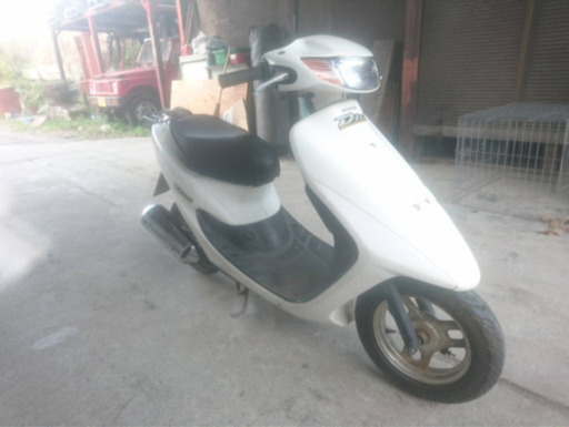 ライブディオ‼️