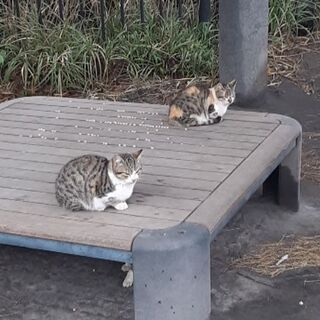 観光、食事、登山など行ける方募集中です🎵