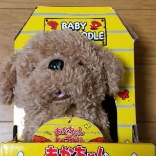 【未使用】あかちゃんトイプードル