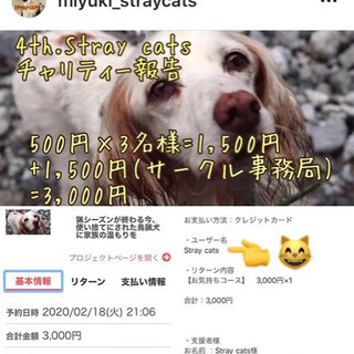 ZUMBAサークル　Stray cats🐾参加者募集の画像