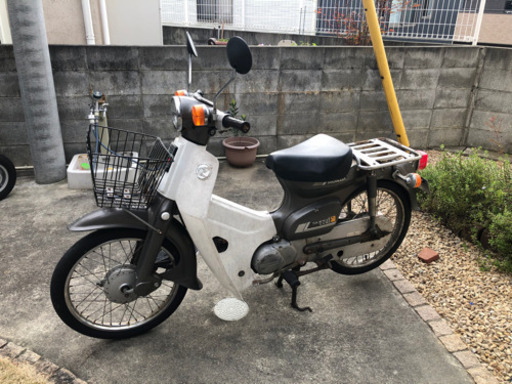 今月限定スーパーカブ　50  黄色ナンバー登録です！