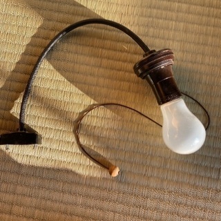 裸電球