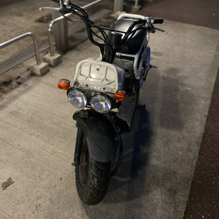HONDA ZOOMER 人気色 ホワイト