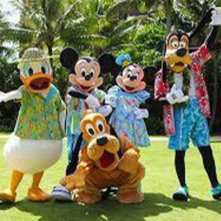 アウラニ・ディズニー2021年11月まで　宿泊券の画像