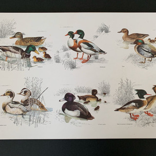 ★売却済★ランチョンマット★