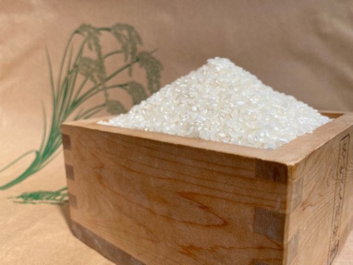 頑固オヤジのコシヒカリ　30kg　(滋賀湖北・減農薬)