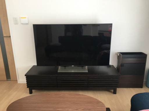 SONY BRAVIA 55inch (液晶割れ)