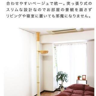 新品　キャットタワー　キャットツリー