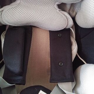 エールベベクルットNT2　バンボの画像