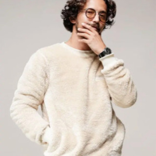 champion ナノユニバースの画像