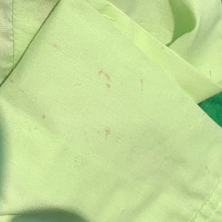 パーティや式服にいかがでしょうか？ライムグリーンの画像