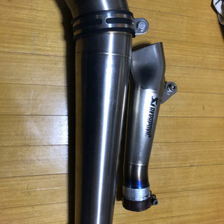 アクラポビッチ、ダンモト