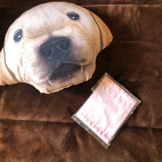 お受け取り決定　子供用マスク　犬クッション