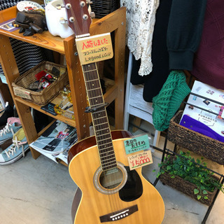 SOUL'd OUT【店内販売商品】アコースティックギター レジ...