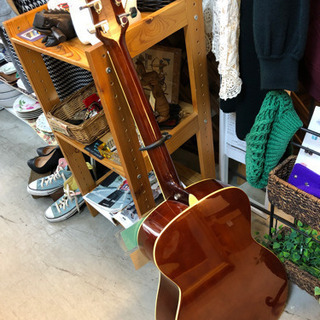 SOUL'd OUT【店内販売商品】アコースティックギター レジェンド 現品限り の画像