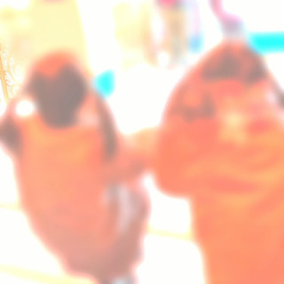 【関東】ママ友募集中～🥺✨❣️