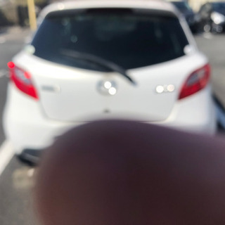 3月22日までの画像